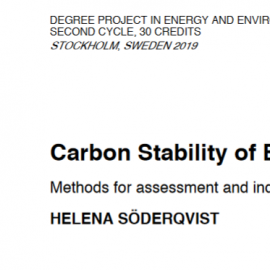 Carbon Stability of Biochar: Methods for assessment and indication [Master thesis]